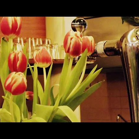 Omega Hotell 3*
